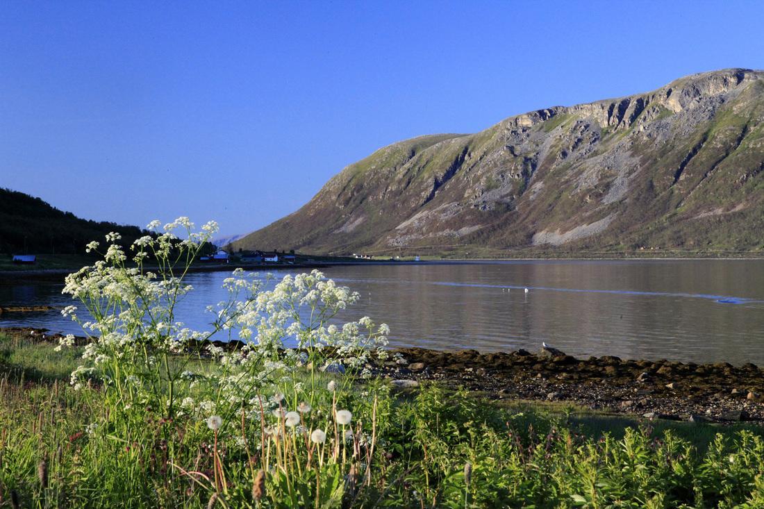 Hansnes Havfiske Exteriér fotografie
