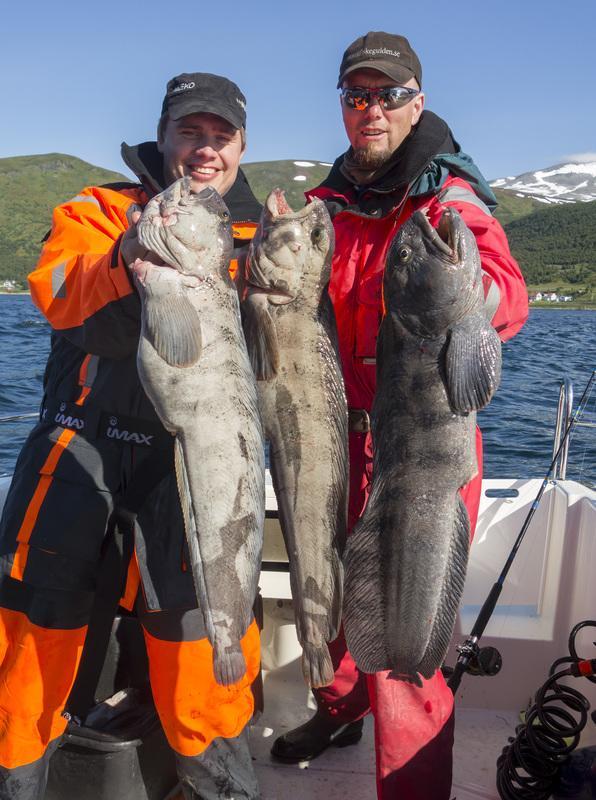 Hansnes Havfiske Exteriér fotografie