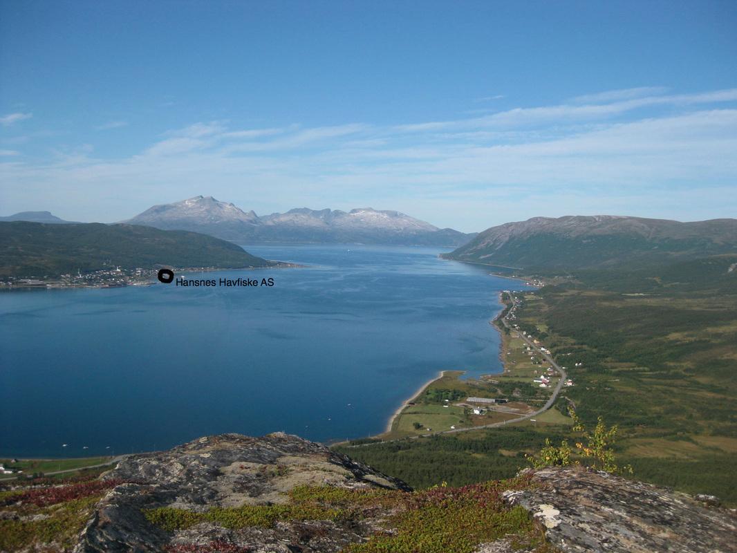 Hansnes Havfiske Exteriér fotografie