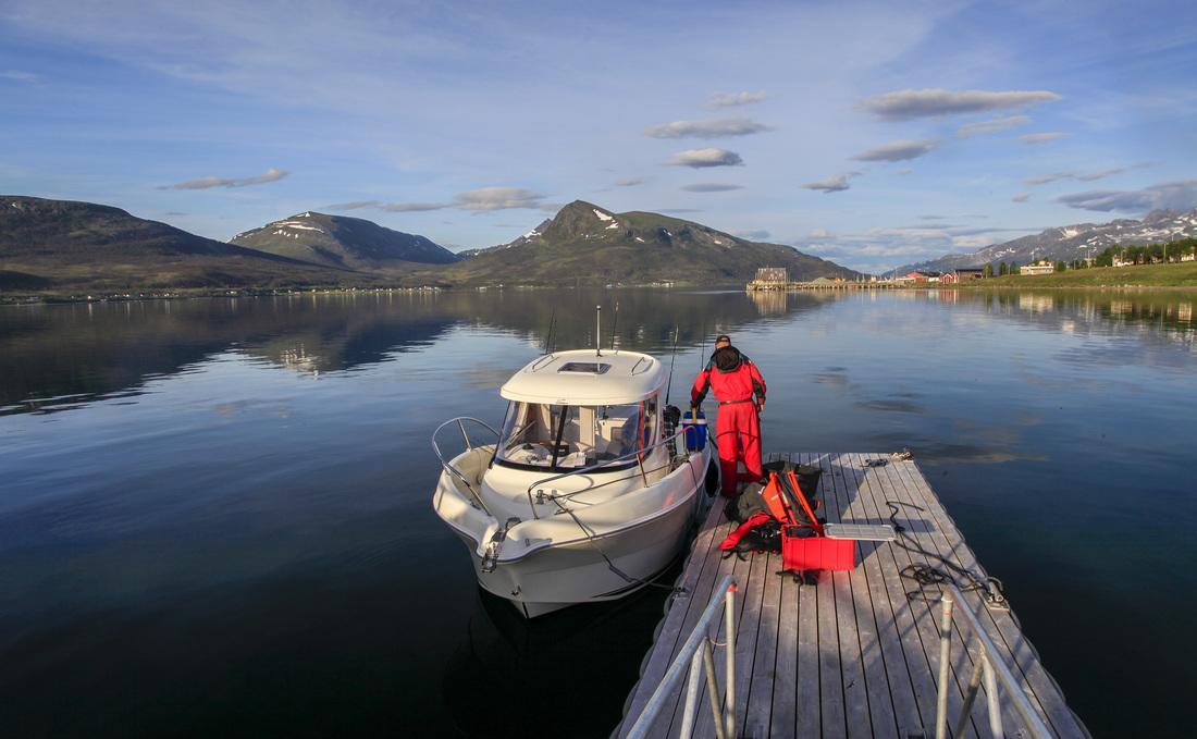 Hansnes Havfiske Exteriér fotografie